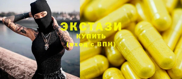гашик Алексин