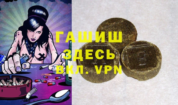 гашик Алексин