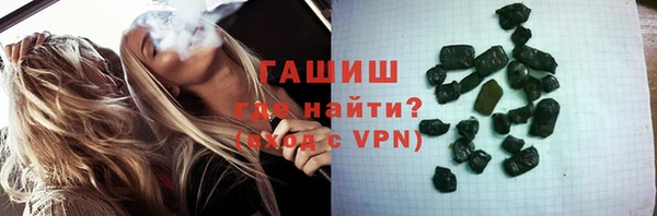 гашик Алексин