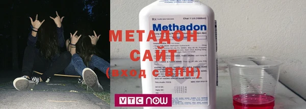 гашик Алексин