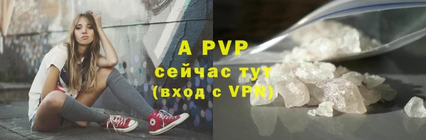 прущие грибы Болхов
