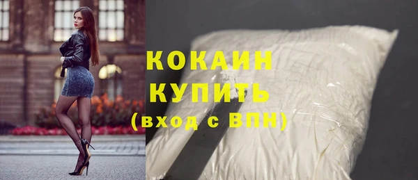 гашик Алексин