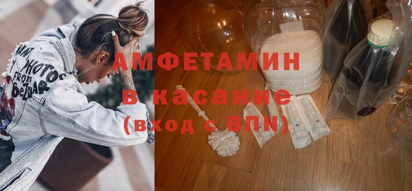 гашик Алексин