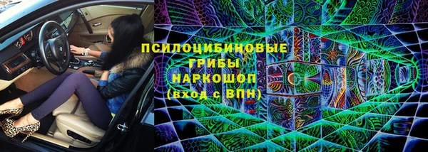 гашик Алексин