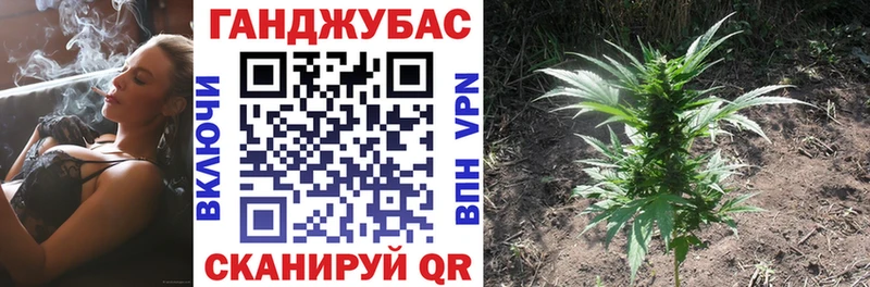 Бошки Шишки гибрид  KRAKEN маркетплейс  Дмитриев 